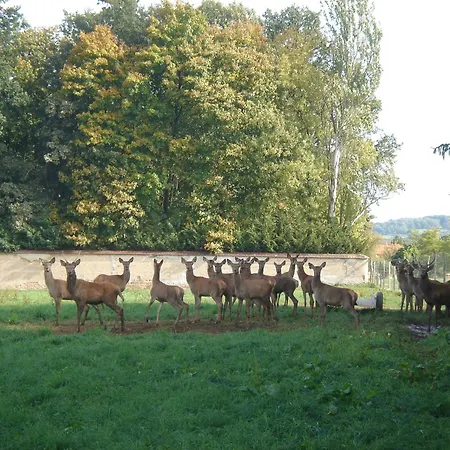 La Ferme aux Biches-2