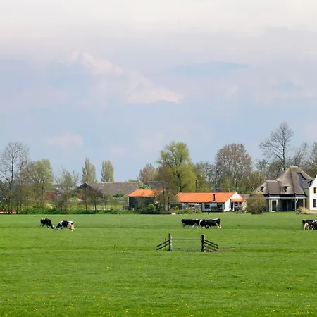 Hotelhuisjes Oosterleek-2