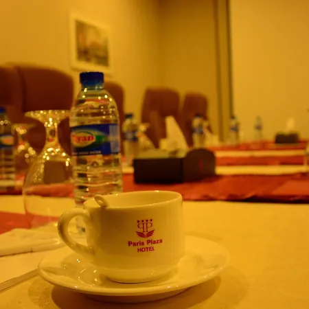 Paris Plaza Hotel-2