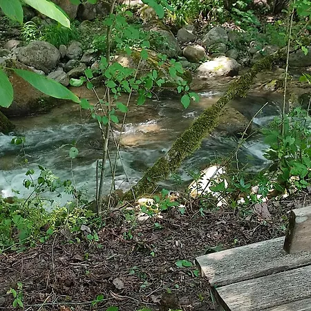 Moulin vieux-3