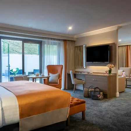 Castletroy Park Hotel-3