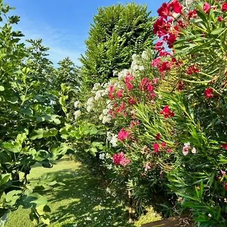 B&B La Casa del Barbiere-2