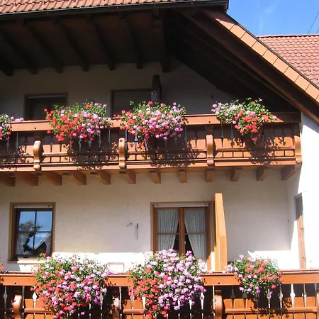 Hotel Gasthaus Zum Hirschen-2