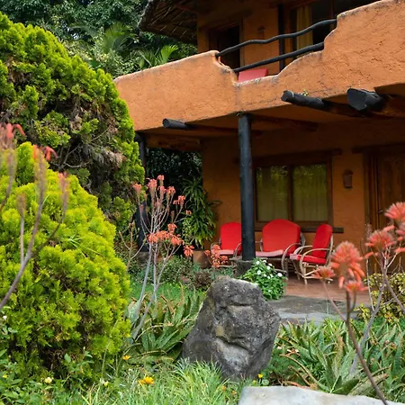 Hotel Bambu-2
