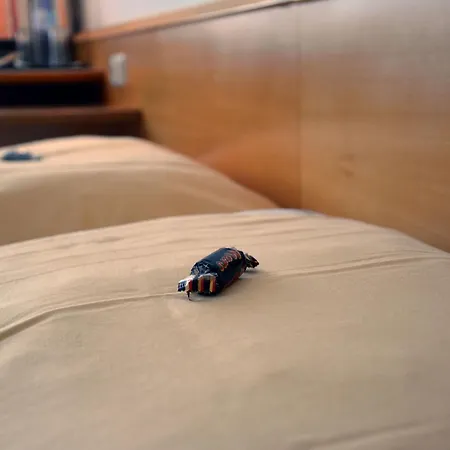 Hotel Waldheimat-2