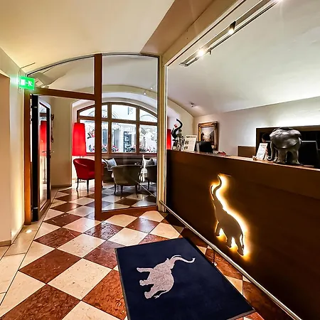 Hotel Elefant Family Business-2