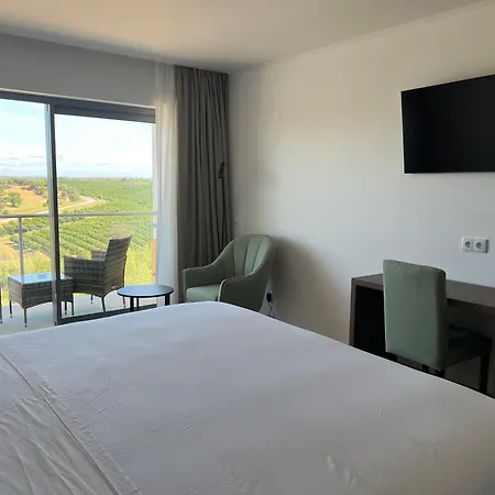 Hotel O Gato & Spa-2