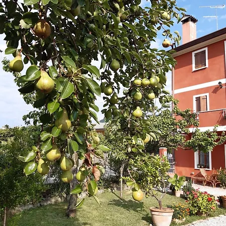 B&B Casa Del Conte-2