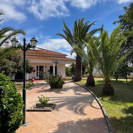 Quinta Das Palmeiras - Casa No Campo Com Piscina-2