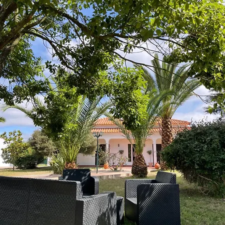 Quinta Das Palmeiras - Casa No Campo Com Piscina-3