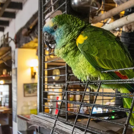 The New Inn-3