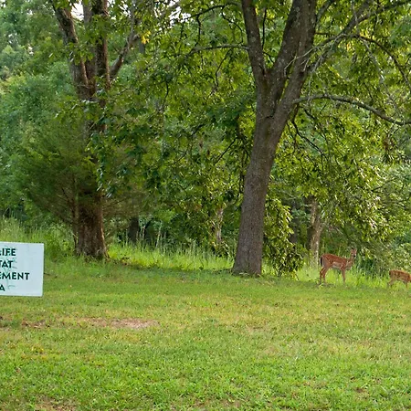 Barren River Lake State Resort Park-2