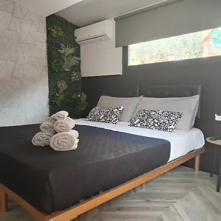 B&B Marino-3