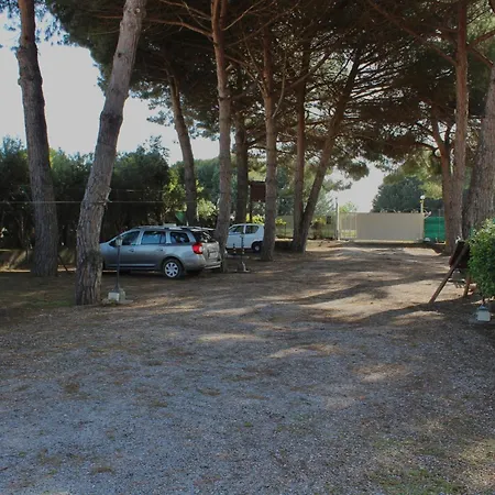 Il Picchio Verde-2