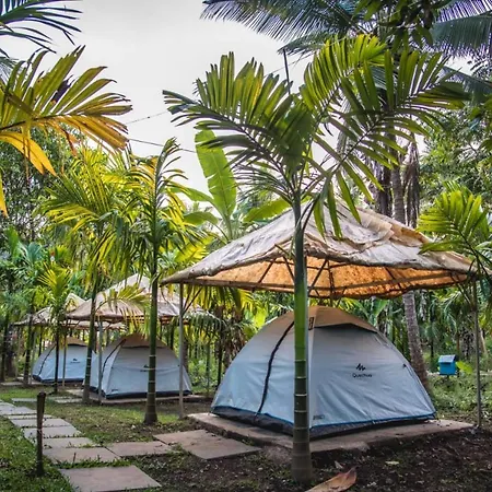 Dandeli Jungle Resort-2