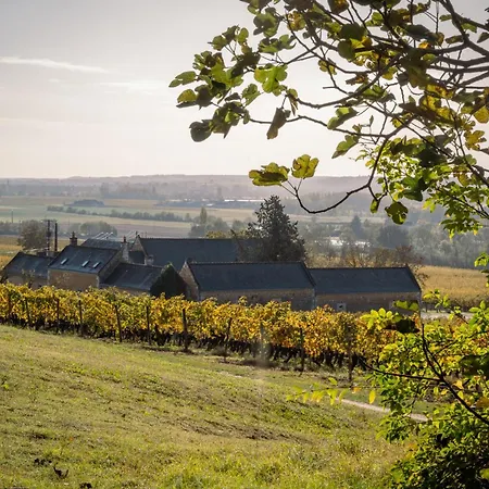 Domaine de Beauséjour-2