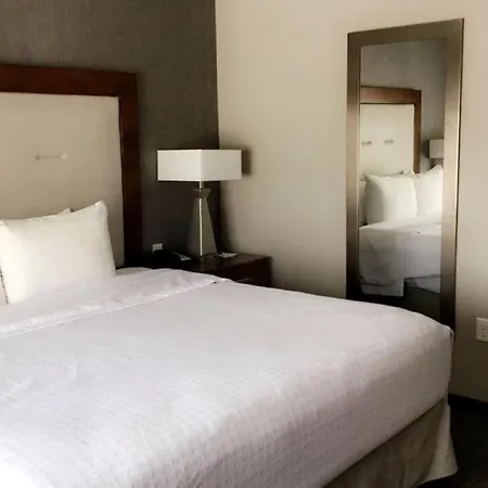 Homewood Suites By Hilton Syracuse - Carrier Circle-3