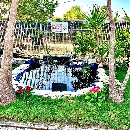 Villa Latino-2