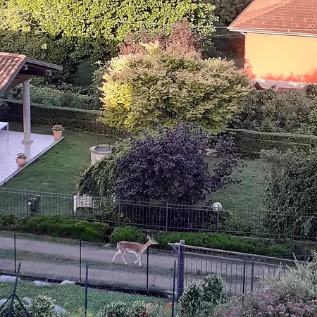 B&B La Civetta-2