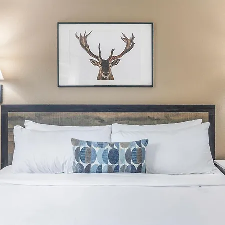 Inn At Mount Shasta-3