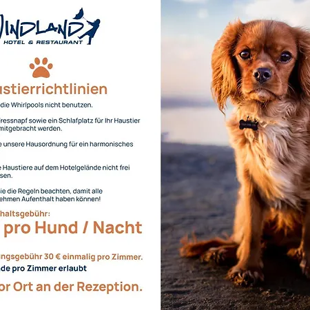 Hotel und Restaurant Windland-3