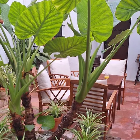 Hostal Gran Capitan-3