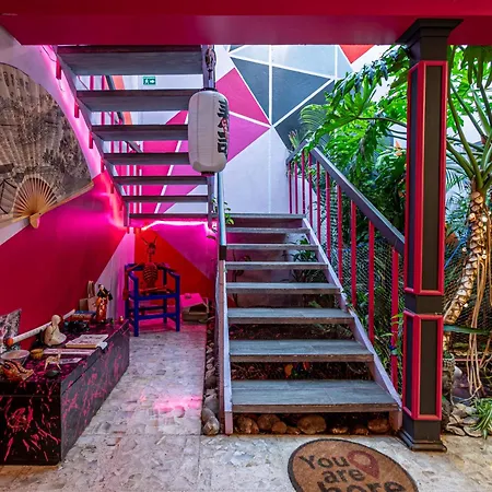 Welcome to... Casa Maguey.-3