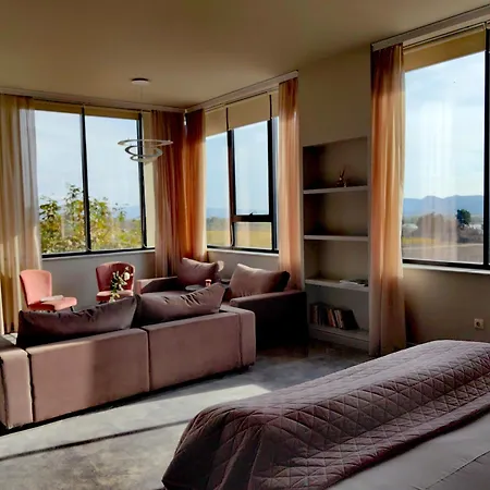 Chateau Copsa Complex-3