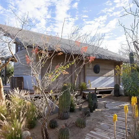 El Perdido Desert Dream- Todos Santos Adults Only-2