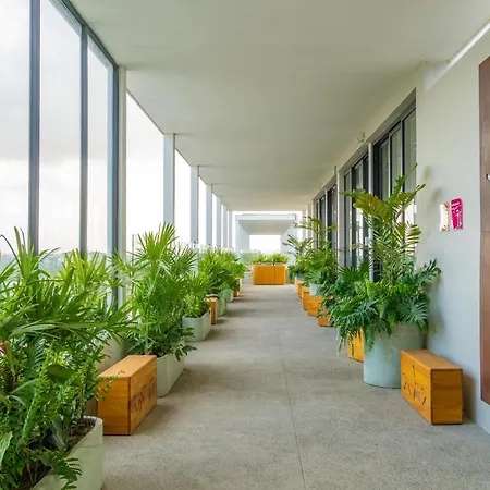 Hotel Mio Riviera Nayarit - Adults Only-3
