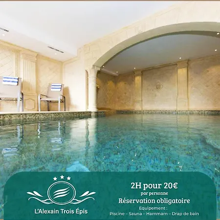Alexain Hotel Restaurant&Wellness - Colmar Ouest-2