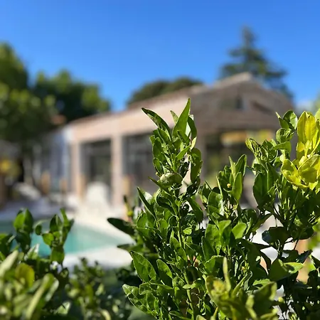 L'Intemporel-3