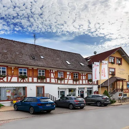 Hotel Gasthof Storchen-3