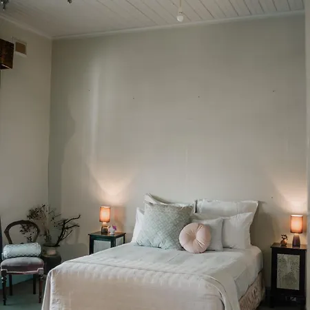 La Cochon Rose Motel-2