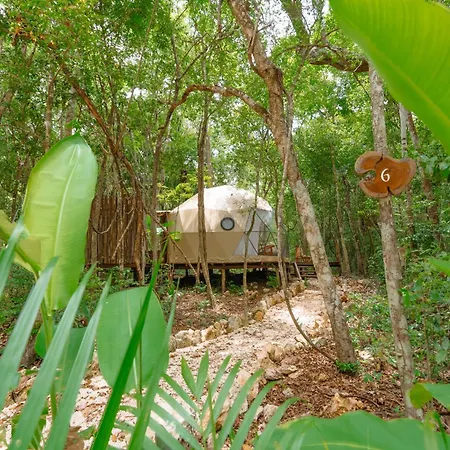 Amaite Retreat Tulum-2