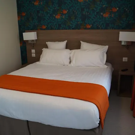 Logis Hotel Du Rhone-2