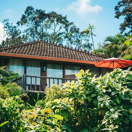 La Coralina Island House-3