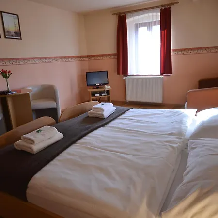 Hotel U Kozicky-3