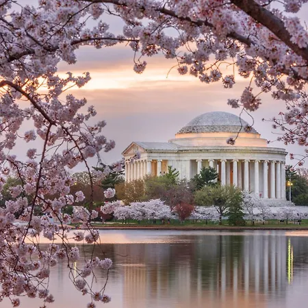 Crowne Plaza College Park - Washington Dc By Ihg-3