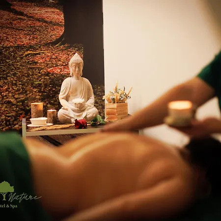 Olive Nature Hotel & Spa - Quinta Valle De Passos-2