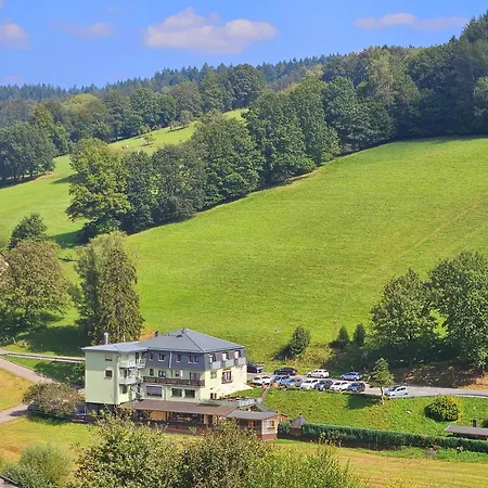 Hotel Gruener Baum Mit Restaurant & Wellness-3