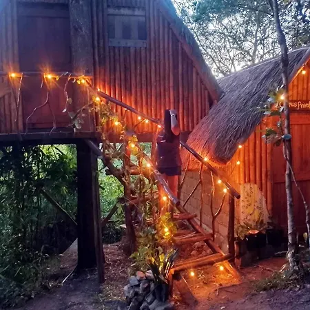 Sanctuaria Treehouses Busuanga-2