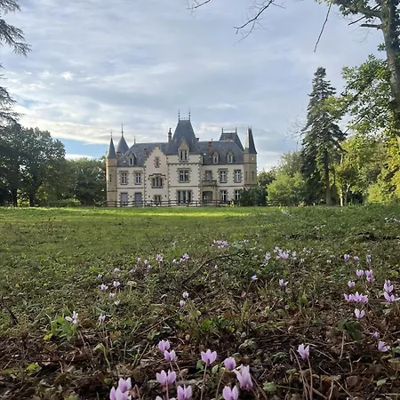 Chateau Tout Y Fault-2