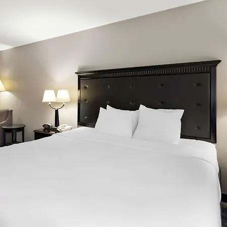 Best Western Saluki Inn-2