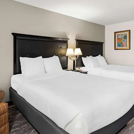 Best Western Saluki Inn-3