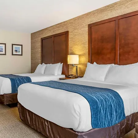 Comfort Inn & Suites Ludington Near Us-10-3