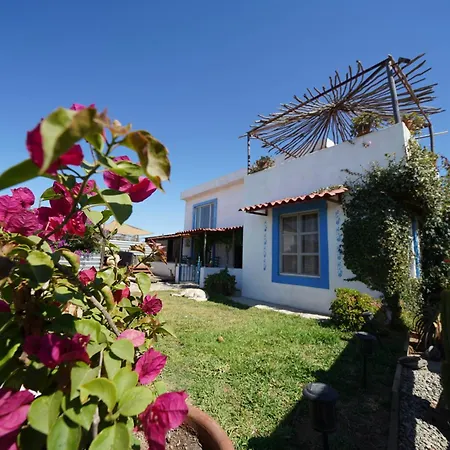 Santerra-3
