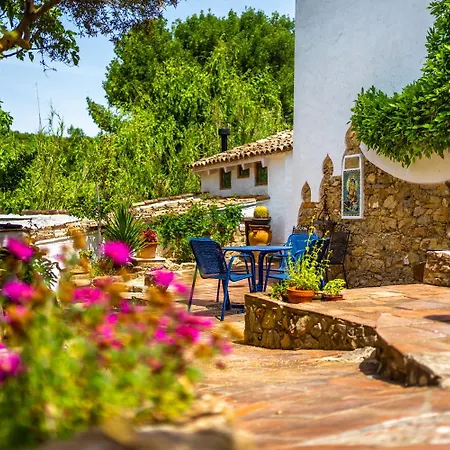 Cinco Lunas VEGETARIAN Guesthouse-3