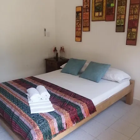 Hotel Playa Tiburón-2