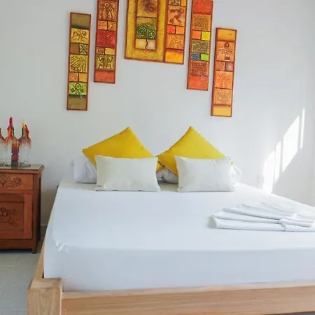 Hotel Playa Tiburón-3